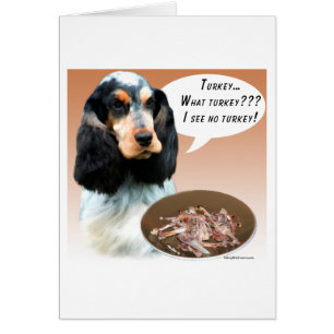 Anglais Cocker Spaniel Turquie