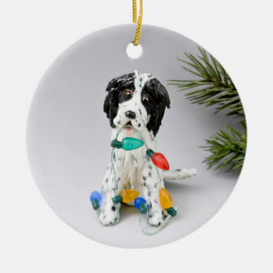Anglais Setter Chien Ornement de Noël