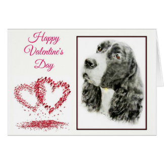 Anglais Springer Spaniel