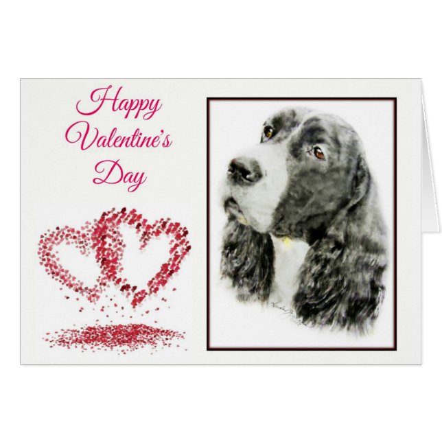 Anglais Springer Spaniel (Devant horizontal)