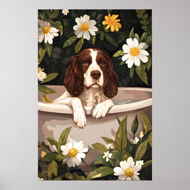 Anglais Springer Spaniel dans une affiche de baign (Devant)
