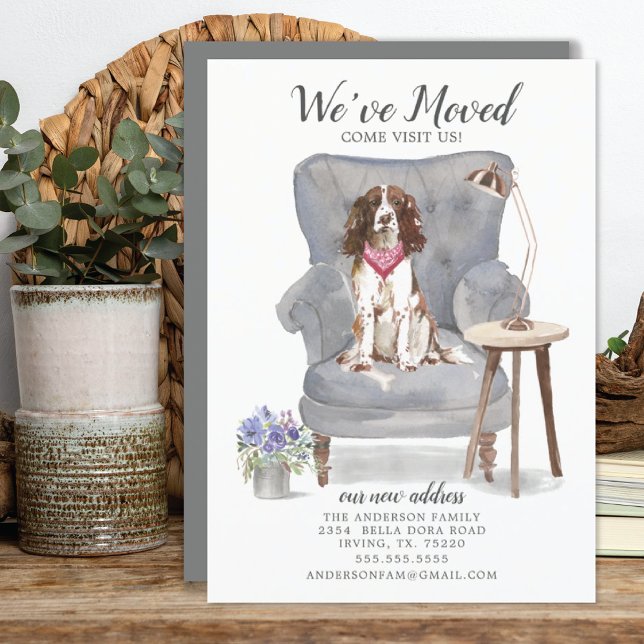 Anglais Springer Spaniel Moving Faire-part (Créateur téléchargé)