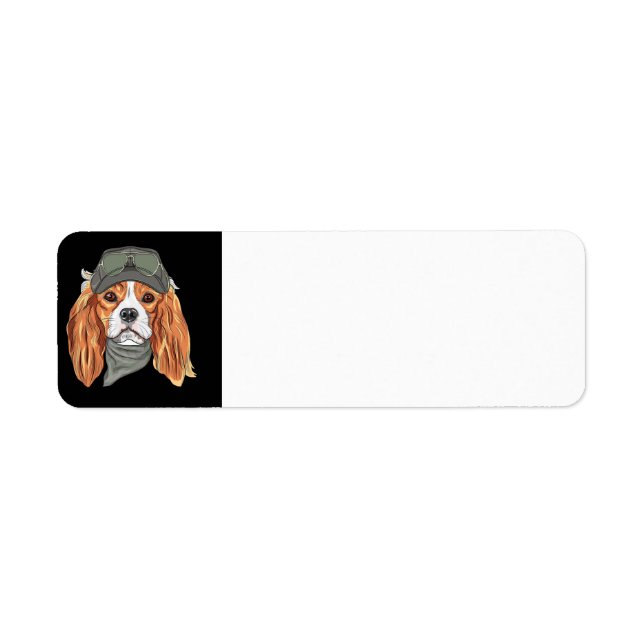 Anglais Springer Spaniel Steampunk (Devant)