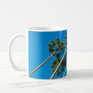 Angle perspective of group of tall thin palm trees coffee mug