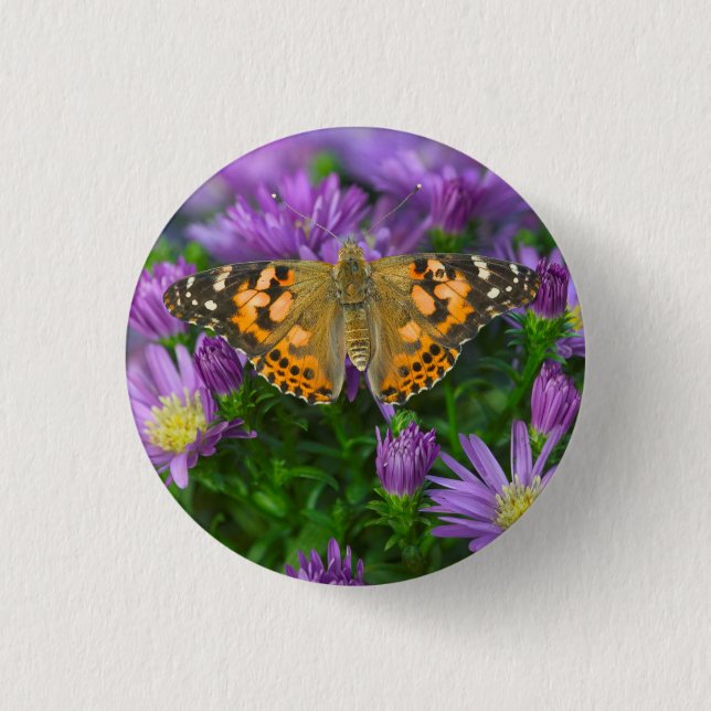 Angle Wing Butterfly On Cone Flower 1 Inch Round Button (Front)