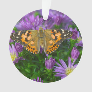 Angle Wing Butterfly On Cone Flower Ornament