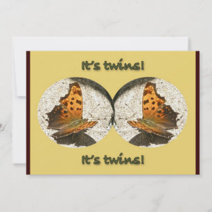 Angle Wing Comma Butterfly It's Twins Announcement