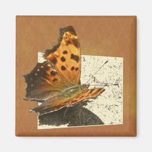 Angle Wing Comma Butterfly Series Magnet