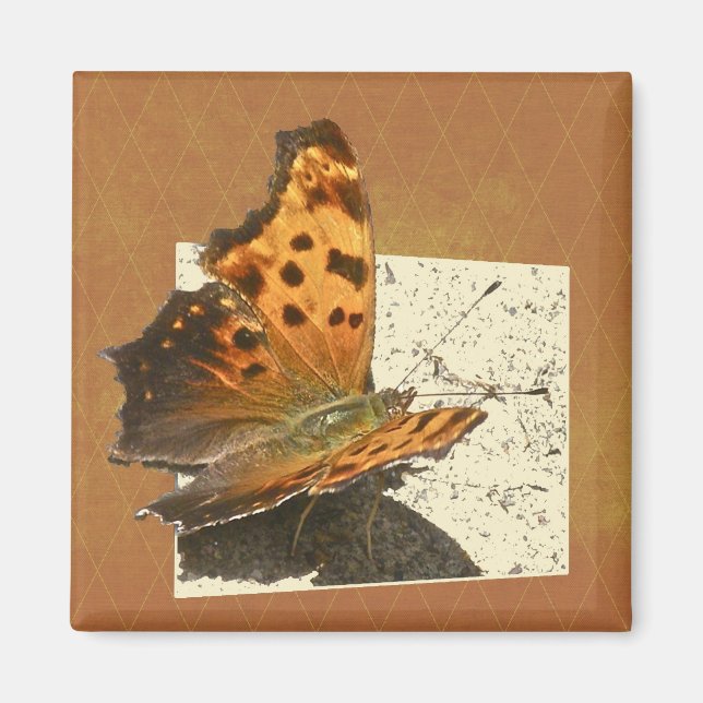 Angle Wing Comma Butterfly Series Magnet (Front)