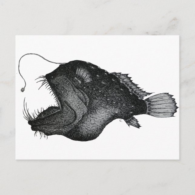 Anglerfishes Postcard (Front)