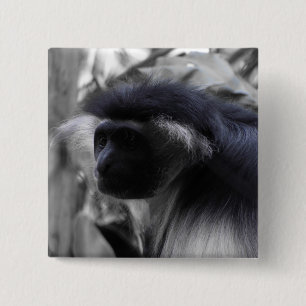 Angolan Black and White Colobus Monkey 2 Inch Square Button
