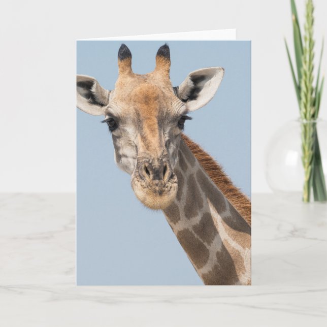 Angolan Giraffe Portrait Card (Front)