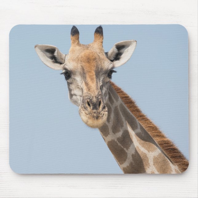 Angolan Giraffe Portrait Mouse Pad (Front)
