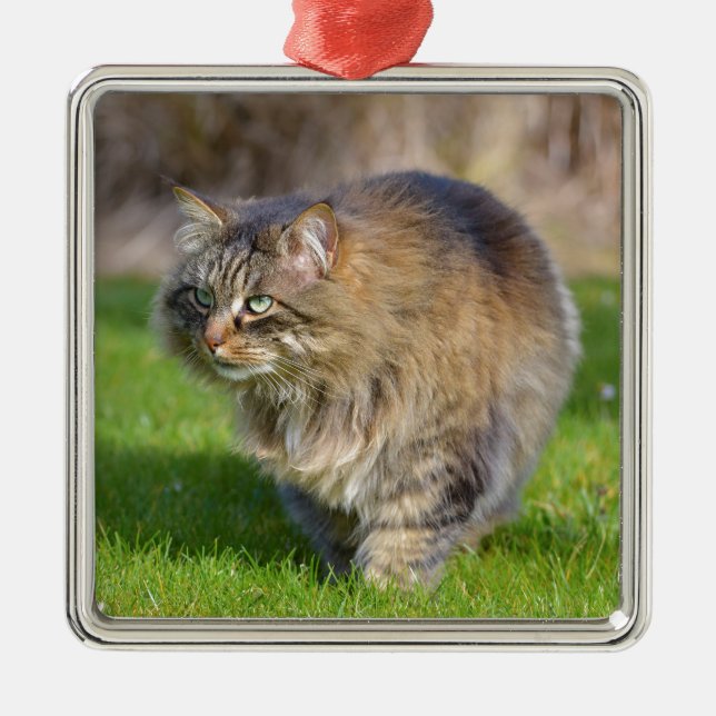 Angora cat metal ornament (Front)