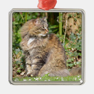 Angora cat metal ornament