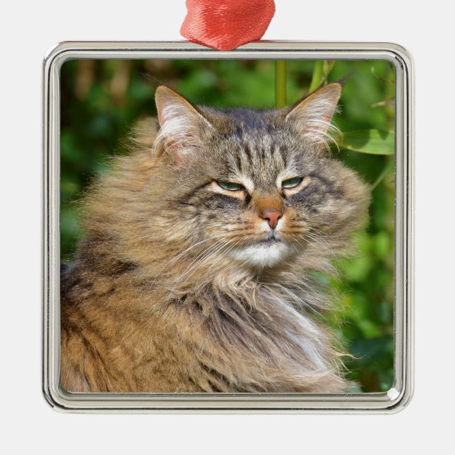Angora cat metal ornament (Front)