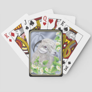 Angora Goat Daisies Bicycle® Playing Cards