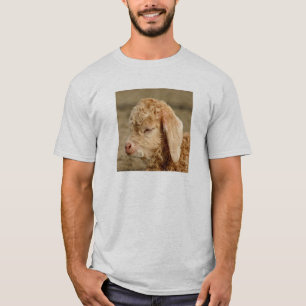 Angora Goat Kid - Adult Light T-shirt