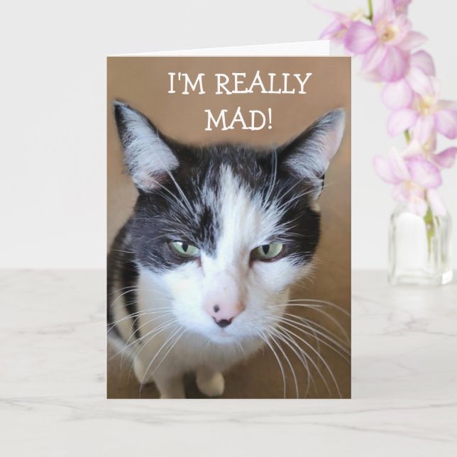 Angry at Cancer Cat Card (Orchid)
