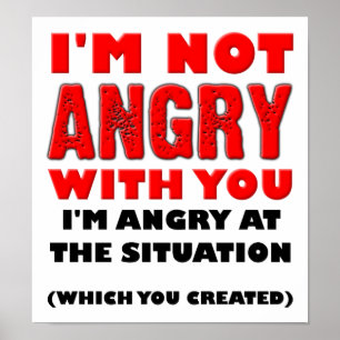 Angry At The Situation Funny Poster