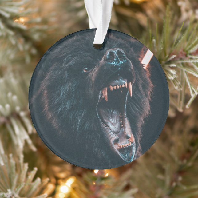 Angry Bear Teeth Black Bear Growl Ornament (Tree)