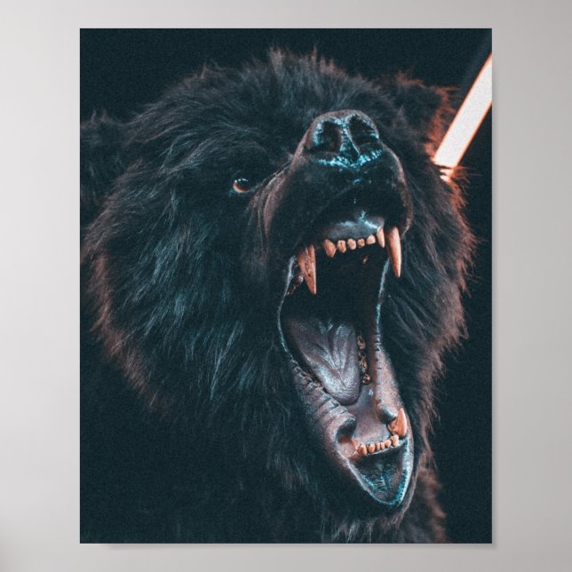 Angry Bear Teeth Black Bear Growl Poster (Front)