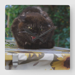 Angry Black Cat Square Wall Clock
