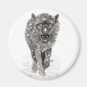 Angry Black Wolf in the Snow , wild Winter Magnet