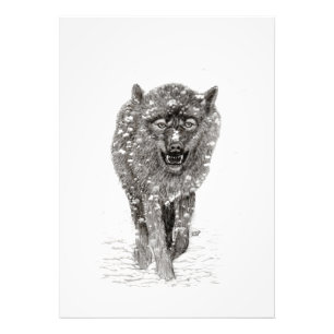 Angry Black Wolf in the Snow , wild Winter Photo Print