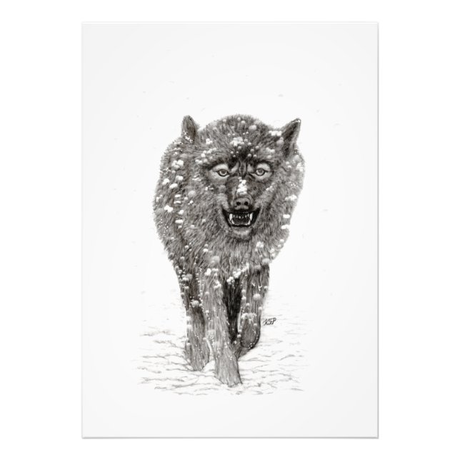 Angry Black Wolf in the Snow , wild Winter Photo Print (Front)