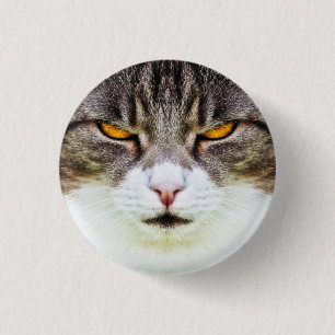 angry cat 1 inch round button