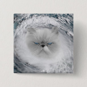 Angry Cat 5 Hurricane 2 Inch Square Button