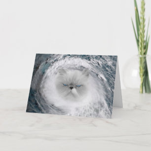 Angry Cat 5 Hurricane Card