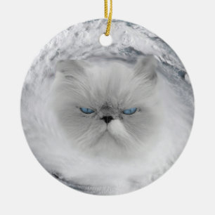 Angry Cat 5 Hurricane Ceramic Ornament