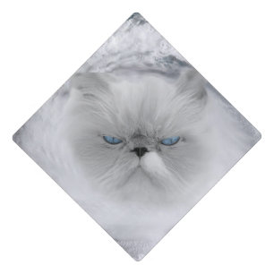 Angry Cat 5 Hurricane Graduation Cap Topper