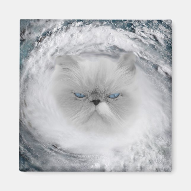 Angry Cat 5 Hurricane Magnet (Front)