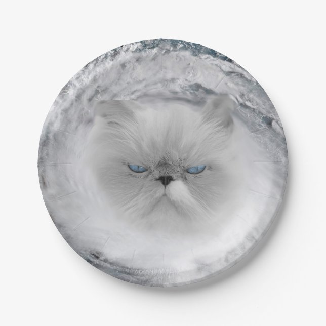 Angry Cat 5 Hurricane Paper Plate (Front)