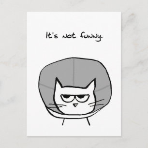 Angry Cat and the Cone of Shame Postcard