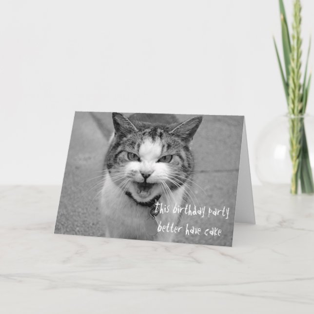 Angry Cat Birthday Party Better Have Cake Card (Front)
