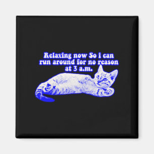 Angry Cat Meme For Cat Owners And Kitty Lovers T S Magnet