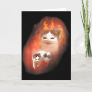 Angry Cat Meme Funny Silly Cat Kitten Lover Humor  Card