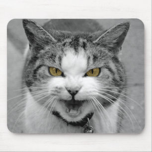 Angry Cat Mouse Pad