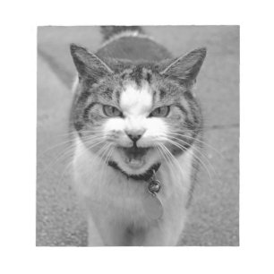 Angry Cat Notepad