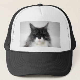 angry cat trucker hat