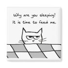 Angry Cat Wants You Out of Bed