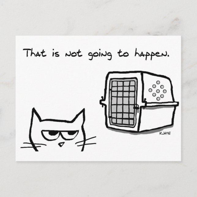 Angry Cat will NOT be going to the Vet Postcard (Front)