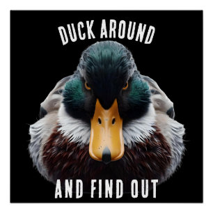 Angry Duck says Duck Around and Find Out Poster