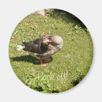 Angry Goose Back Off Magnet