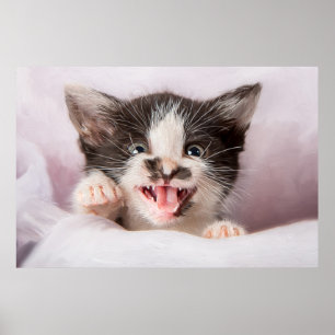 Angry Kitten with Oil Paint Effect Poster