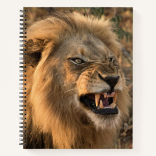 Angry Lion Personalize Name  Notebook